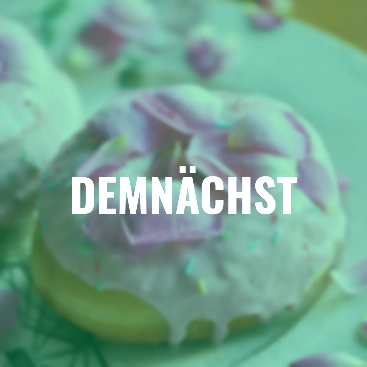 Essbare Culinaric Rose, rosa-apricot