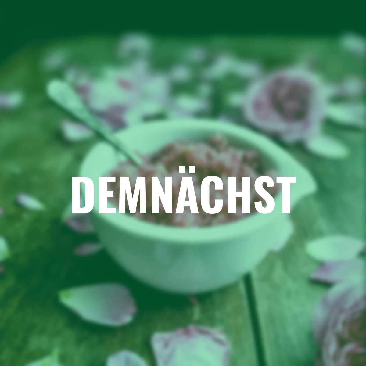 Essbare Culinaric Rose, rosa-apricot