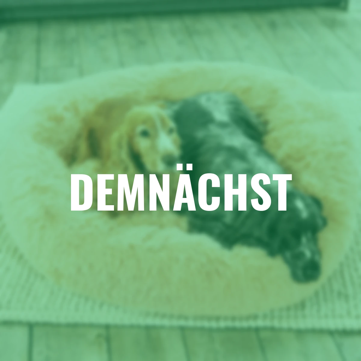 Hunde- und Katzenbett, 100 cm