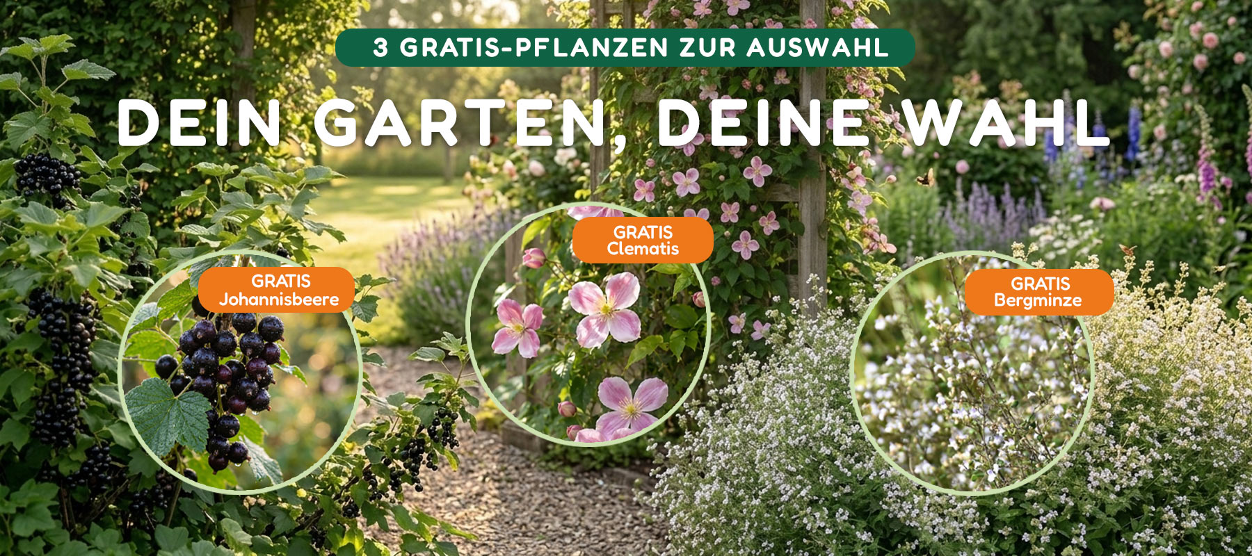 Gratis-Aktion FREE3 – W&auml;hle deine Gratis-Pflanze bei G&auml;rtner Harry