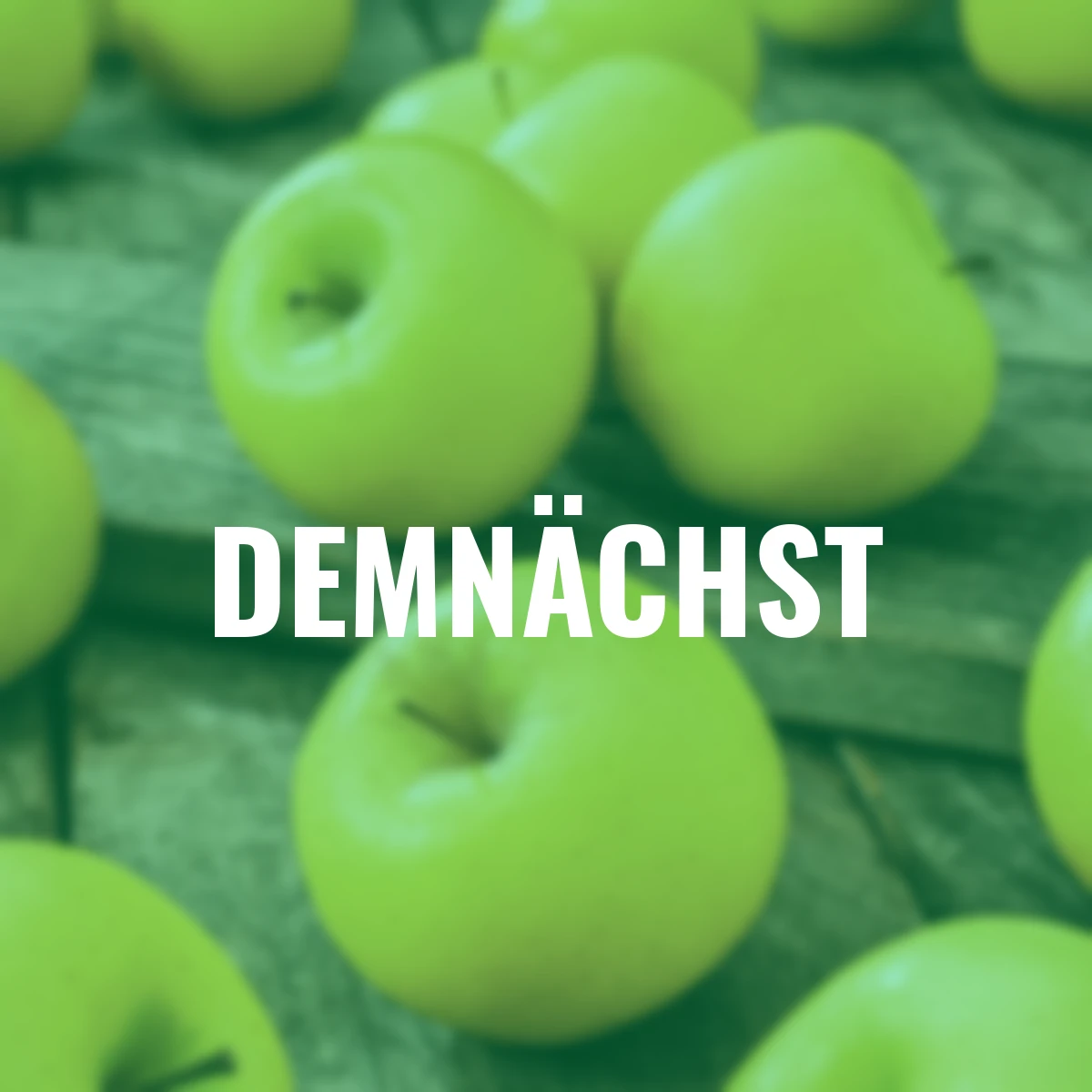 Säulen-Apfel Goldcats®