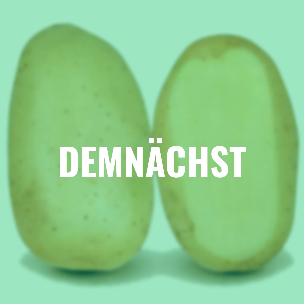 Kartoffel Sava, 5 kg