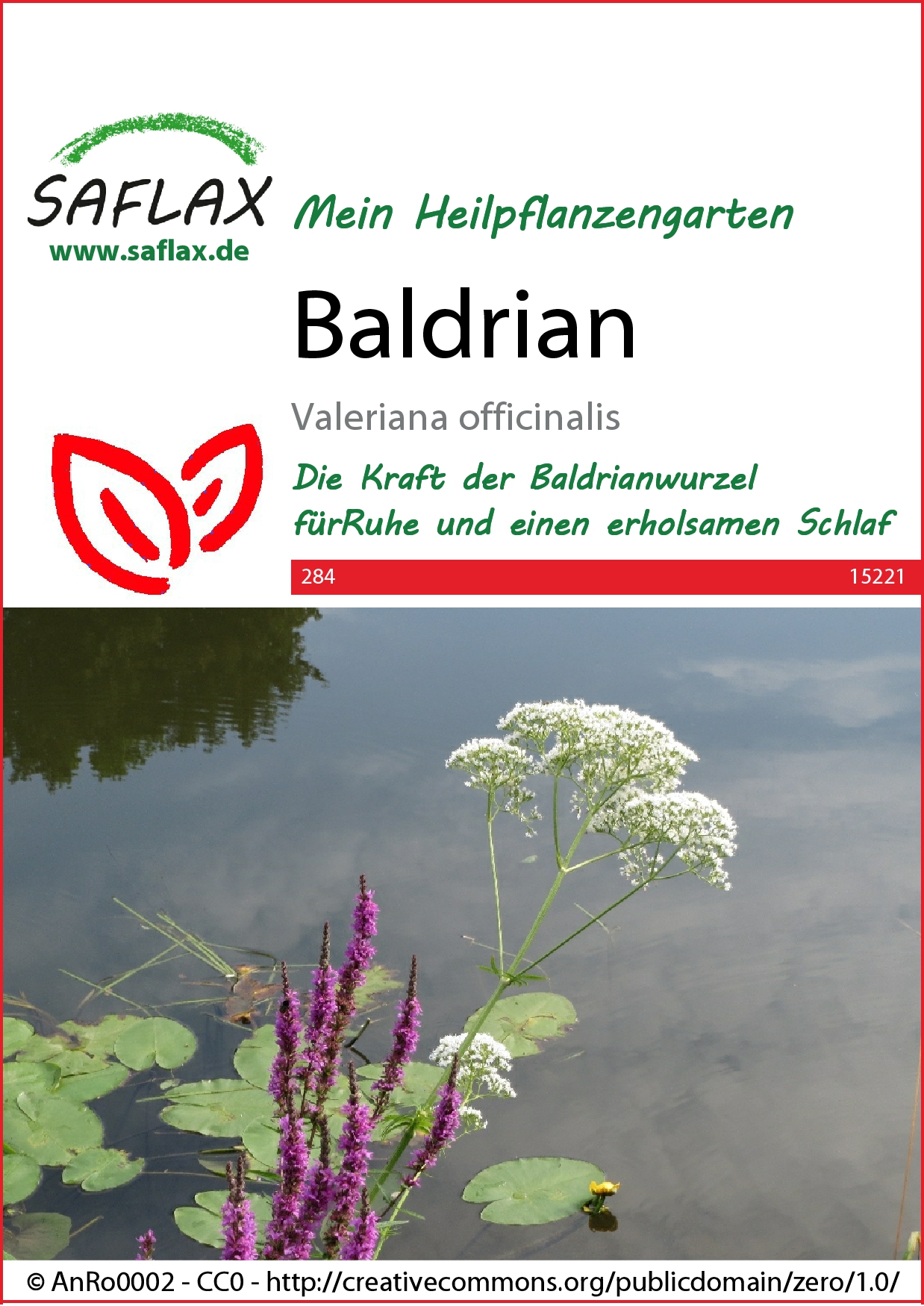 Baldriansamen