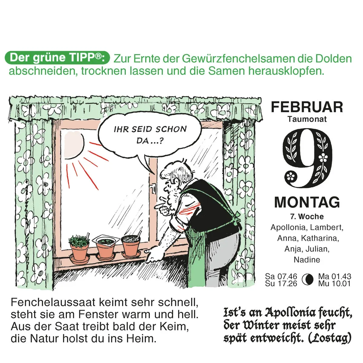 Abreißkalender Der große Grüne Wink®