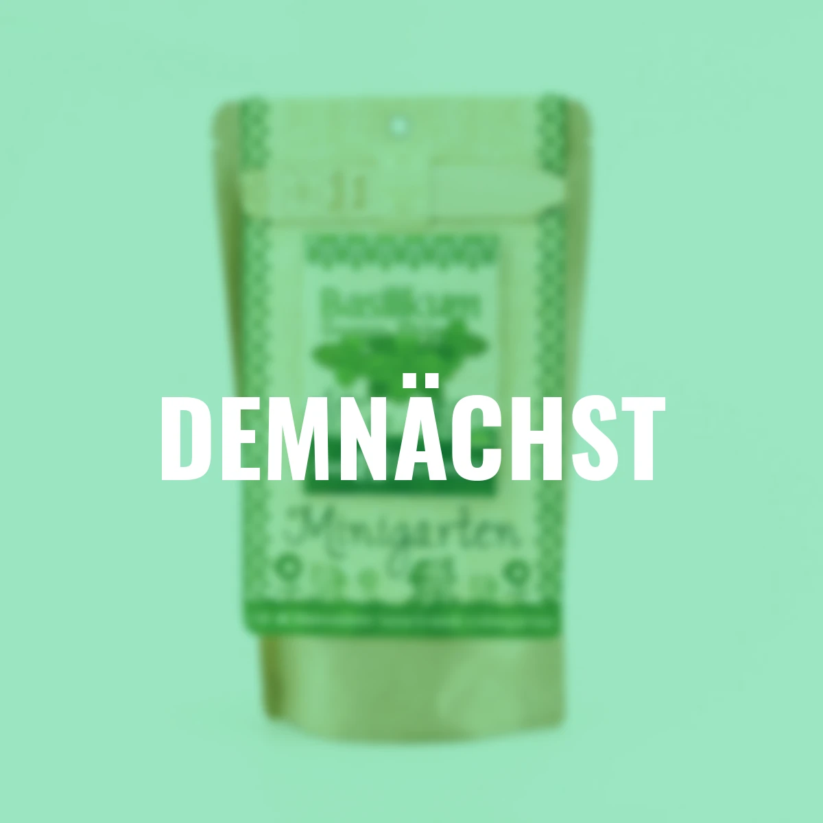 Minigarten - Basilikum - BIO