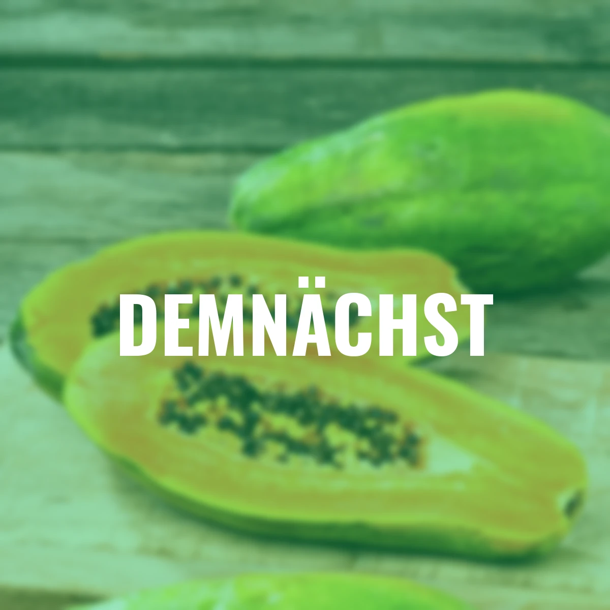 Echte Papaya Sunnybees, Höhe ca. 80-100 cm