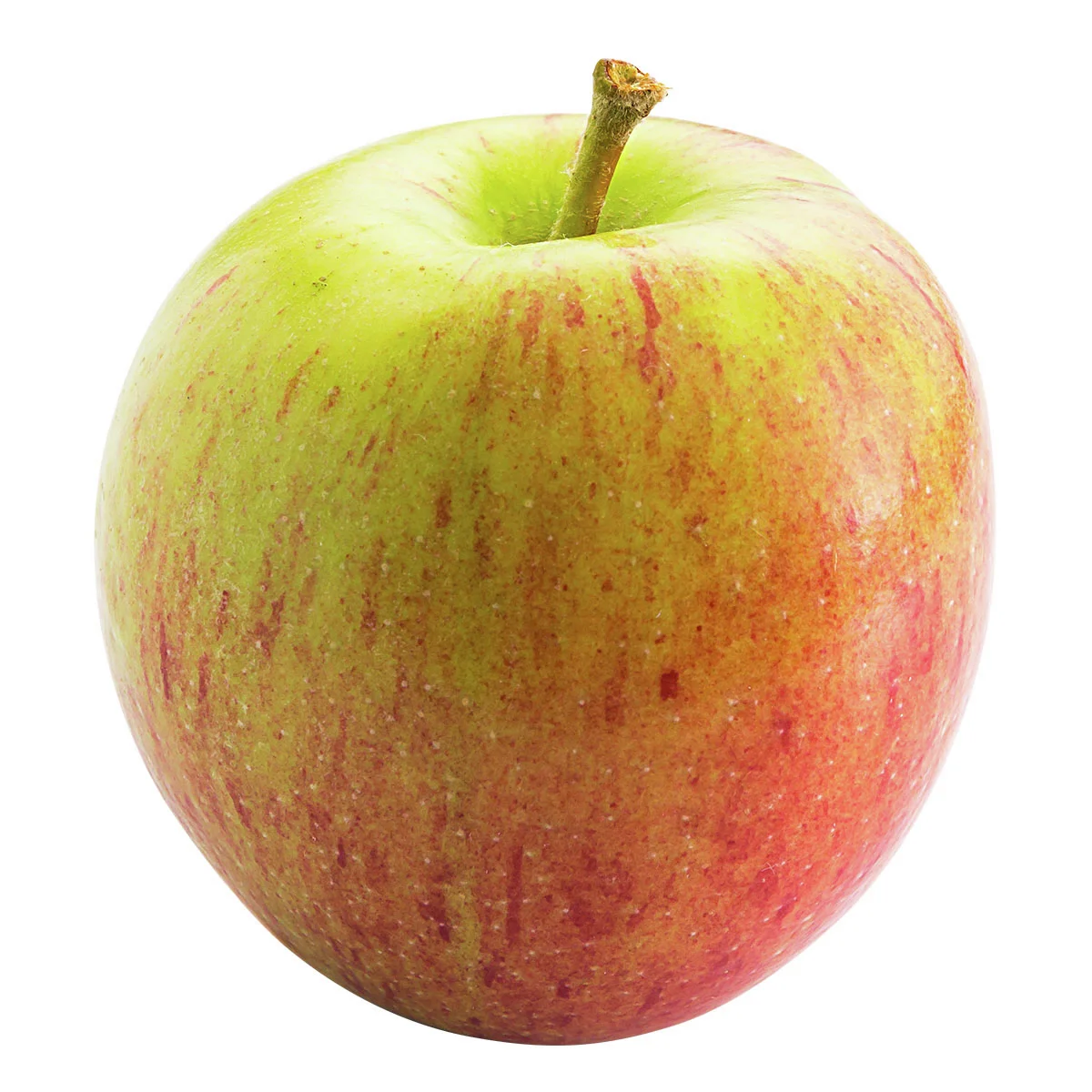 Zwergobst Apfel Delicado