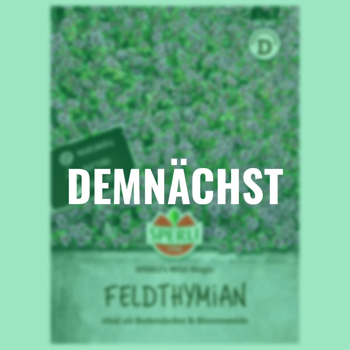 Feldthymiansamen SPERLI's Wild Magic