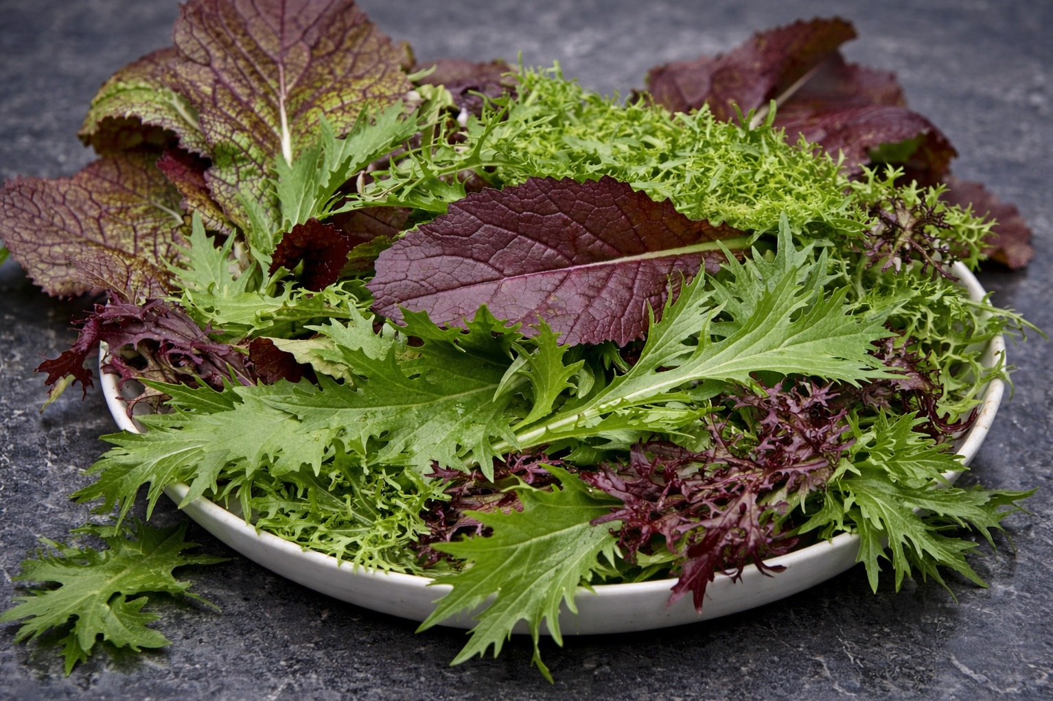 Asia-Gemüse Blattsenf Scharfer Zahn-Mischung