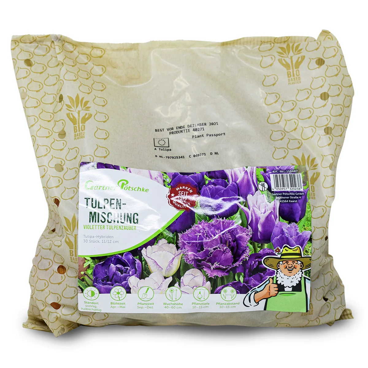 Mischung Violetter Tulpenzauber