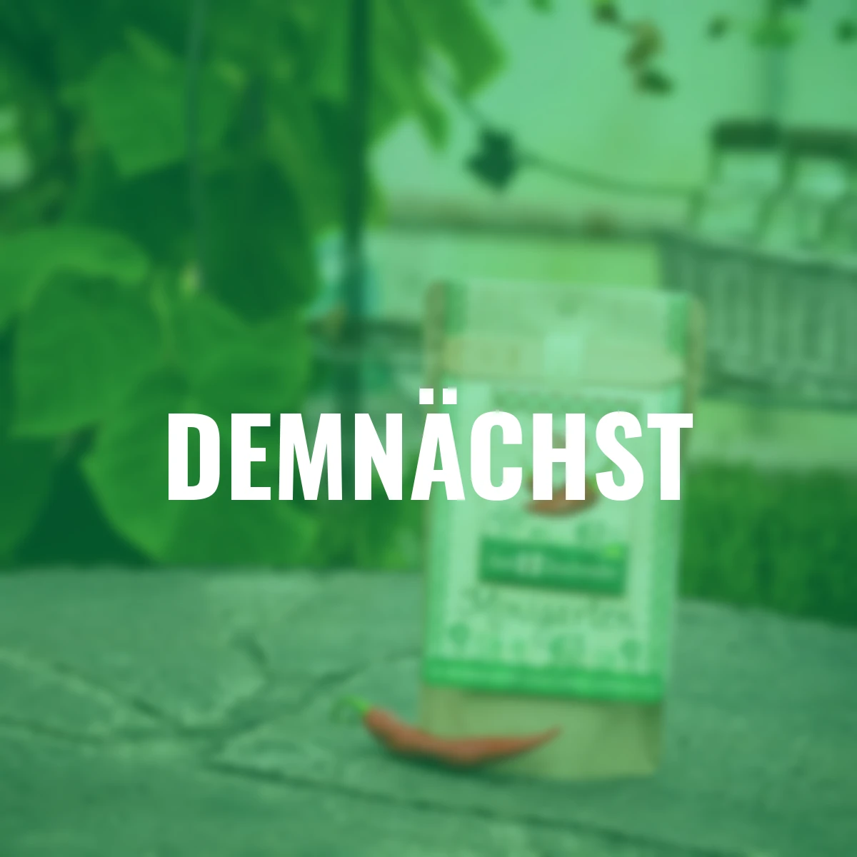 Minigarten - Chili Fireflame