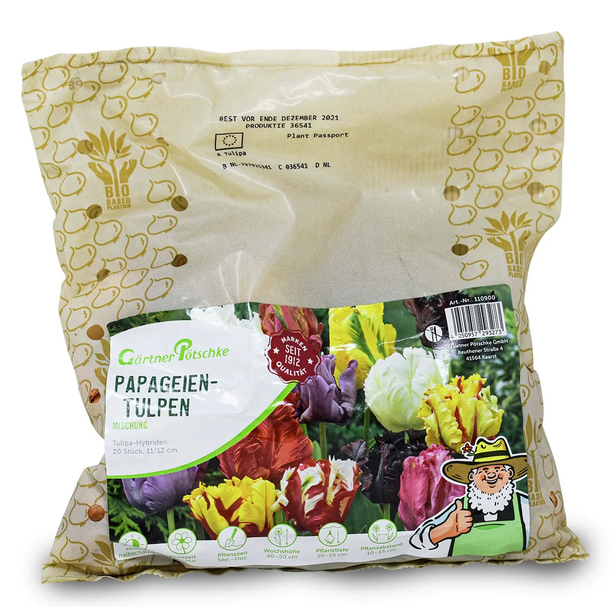 Papageien-Tulpen-Mischung