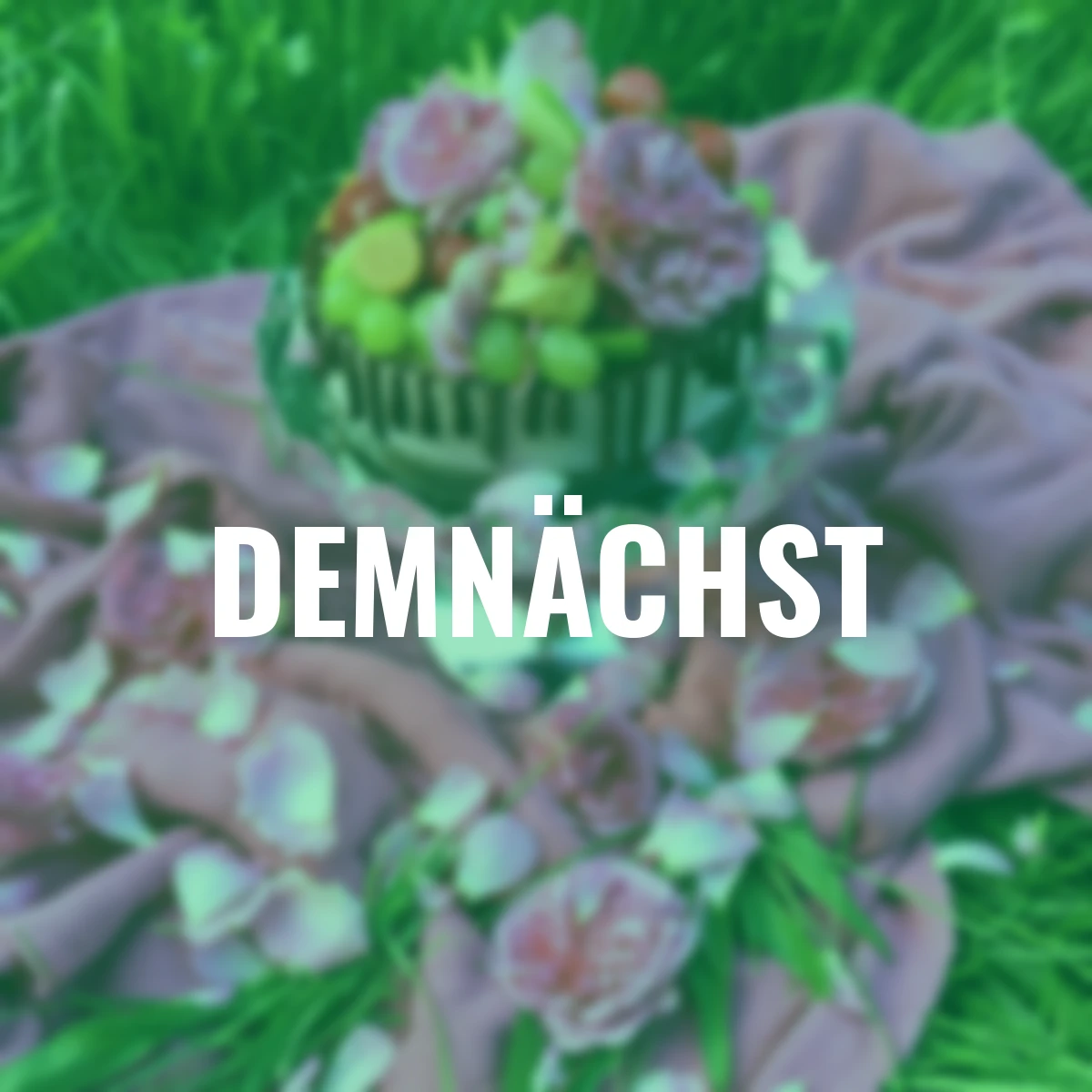 Essbare Culinaric Rose, rosa-apricot