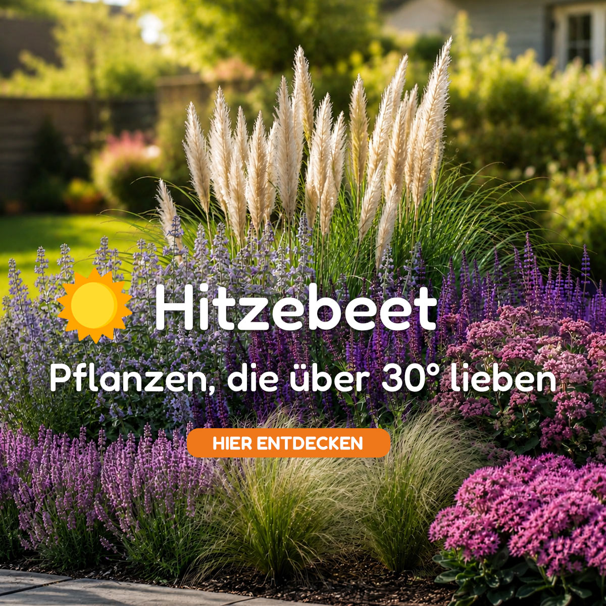 Sommerblumen
