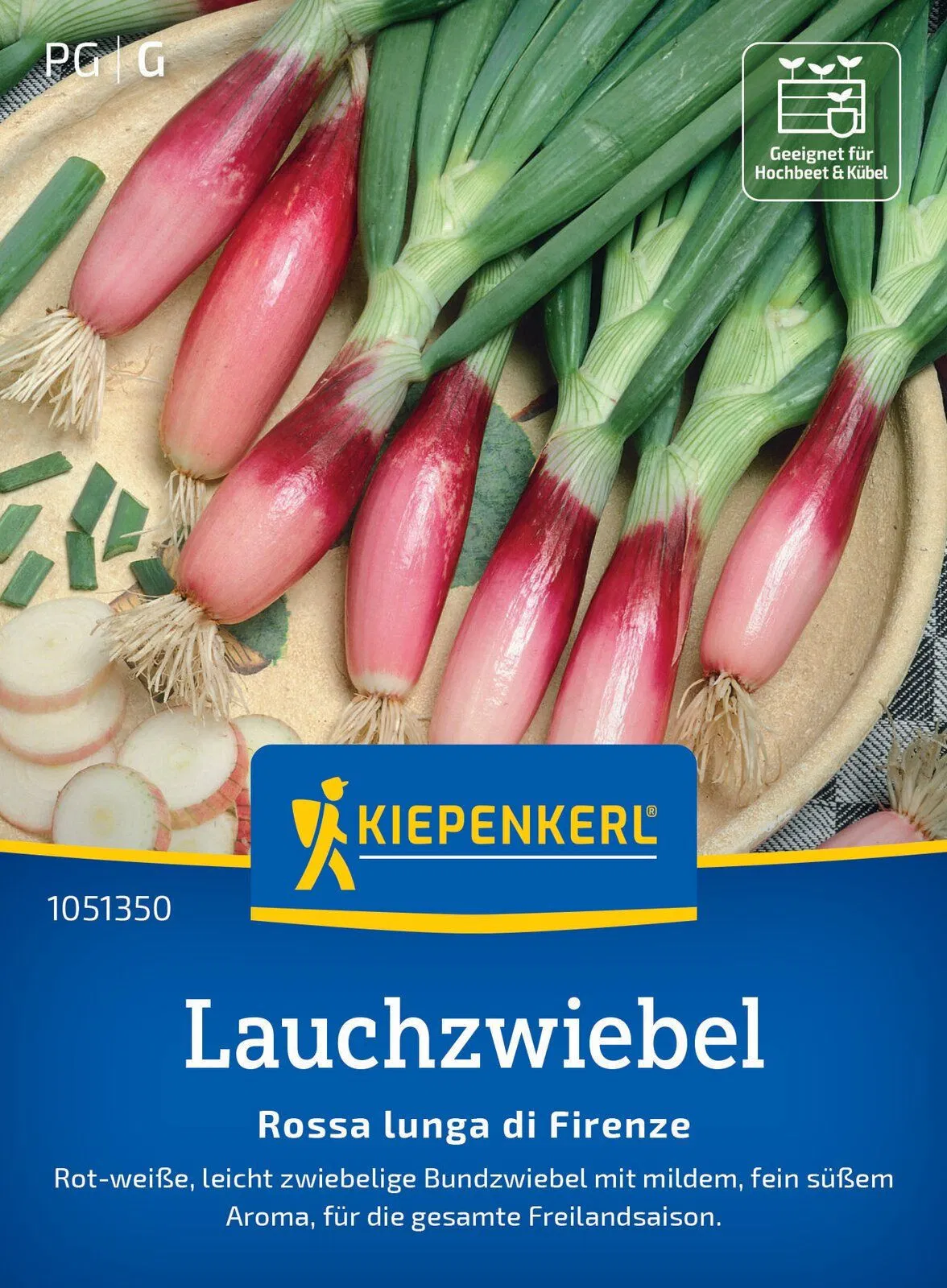 Lauchzwiebeln "Rote von Florenz"