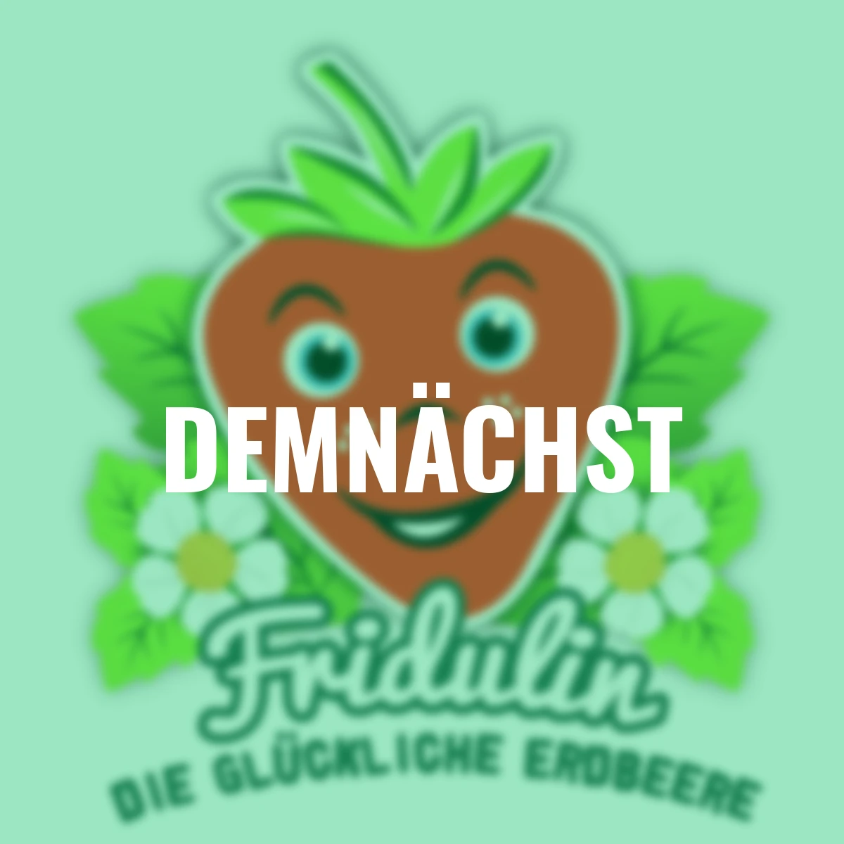 Fridulin-Erdbeere Terralin