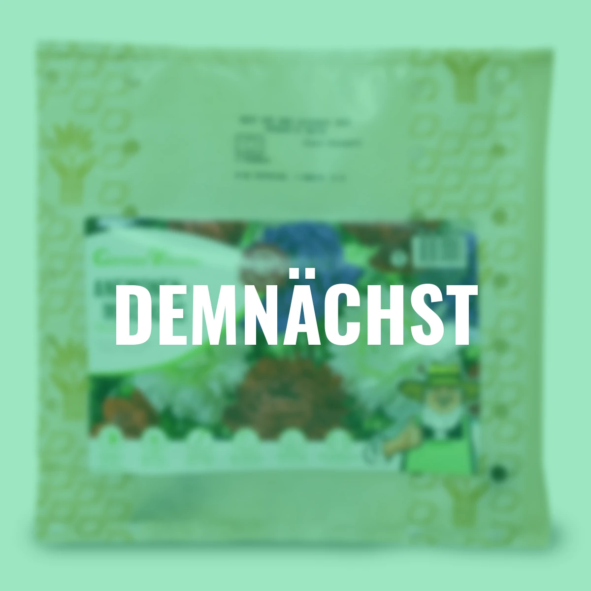 Anemonen-Mischung Fullstar