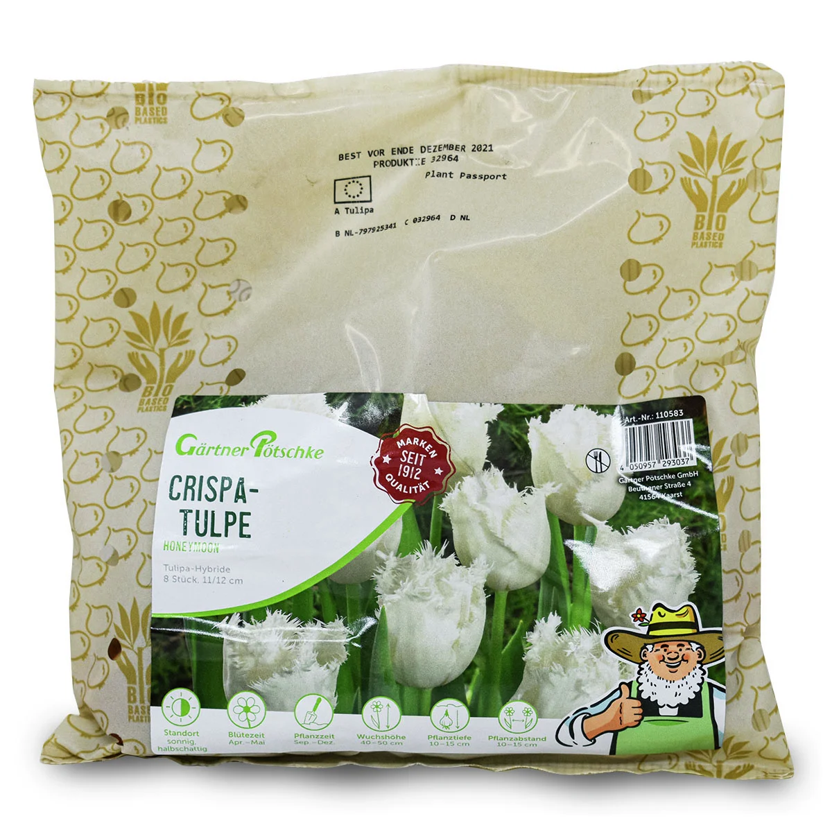 Tulpe Honeymoon