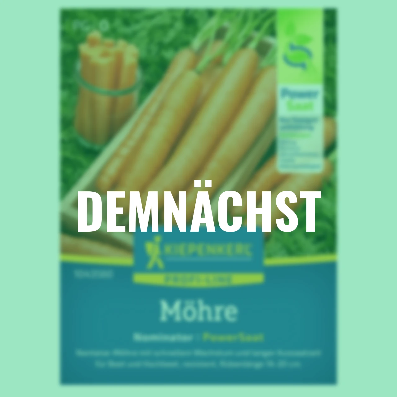 Möhre Nominator PowerSaat