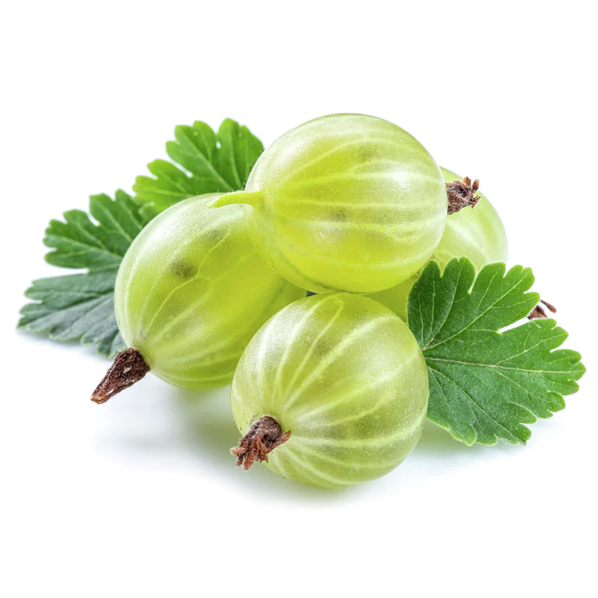 BIO Stachelbeere Hinnonmäki, gelb