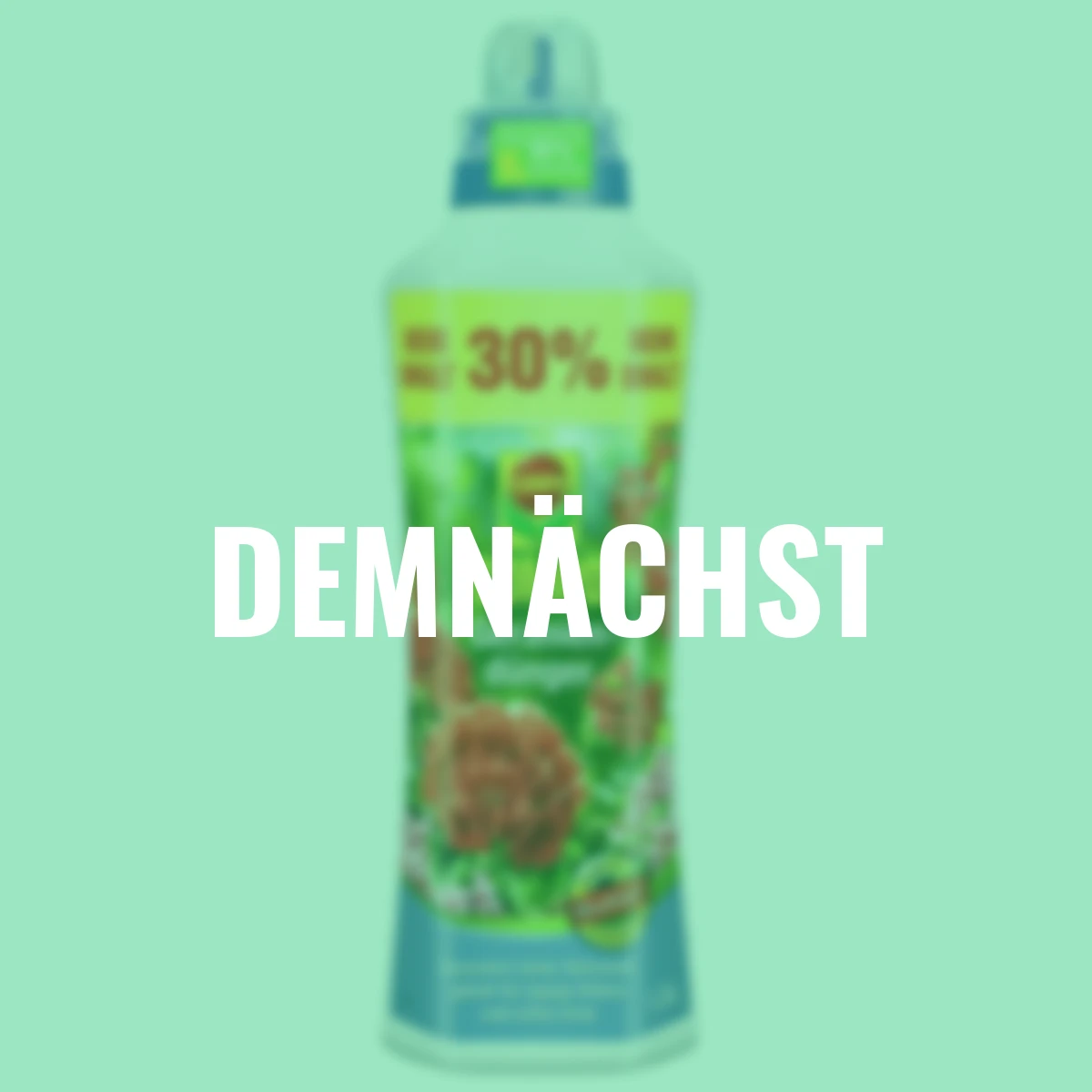 Geraniendünger, 1,3 Liter