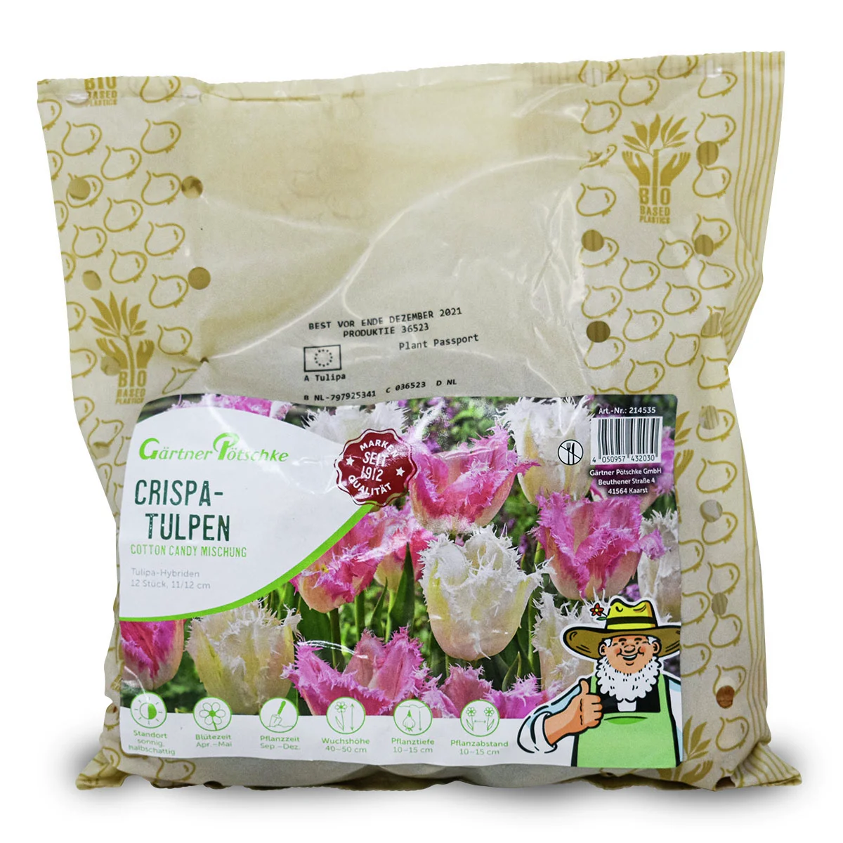 Tulpen-Set Cotton Candy
