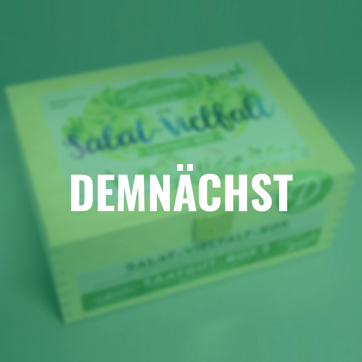 Saatgut-Holzbox Salatvielfalt, 7 Saatgut-Sorten