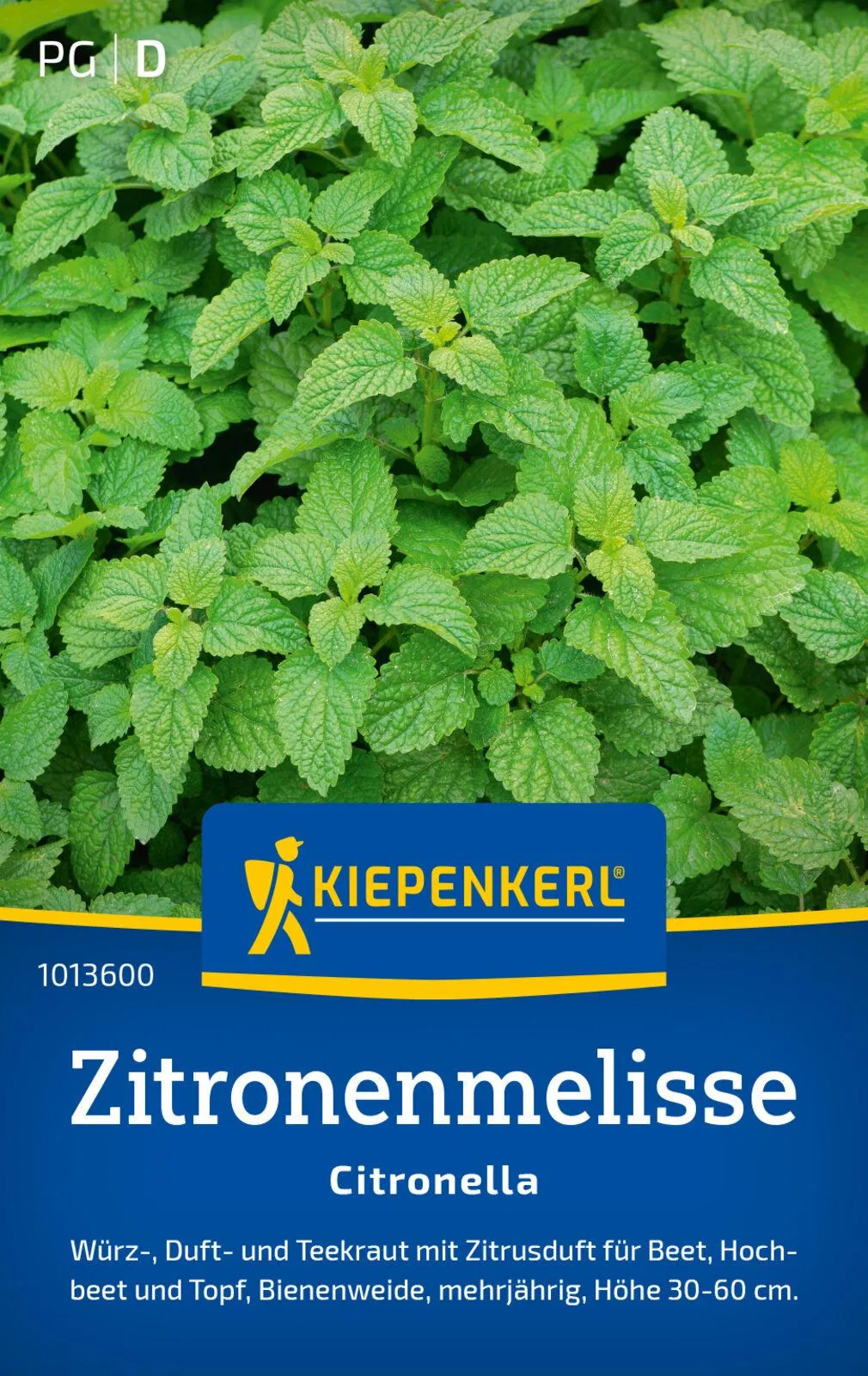 Zitronenmelisse