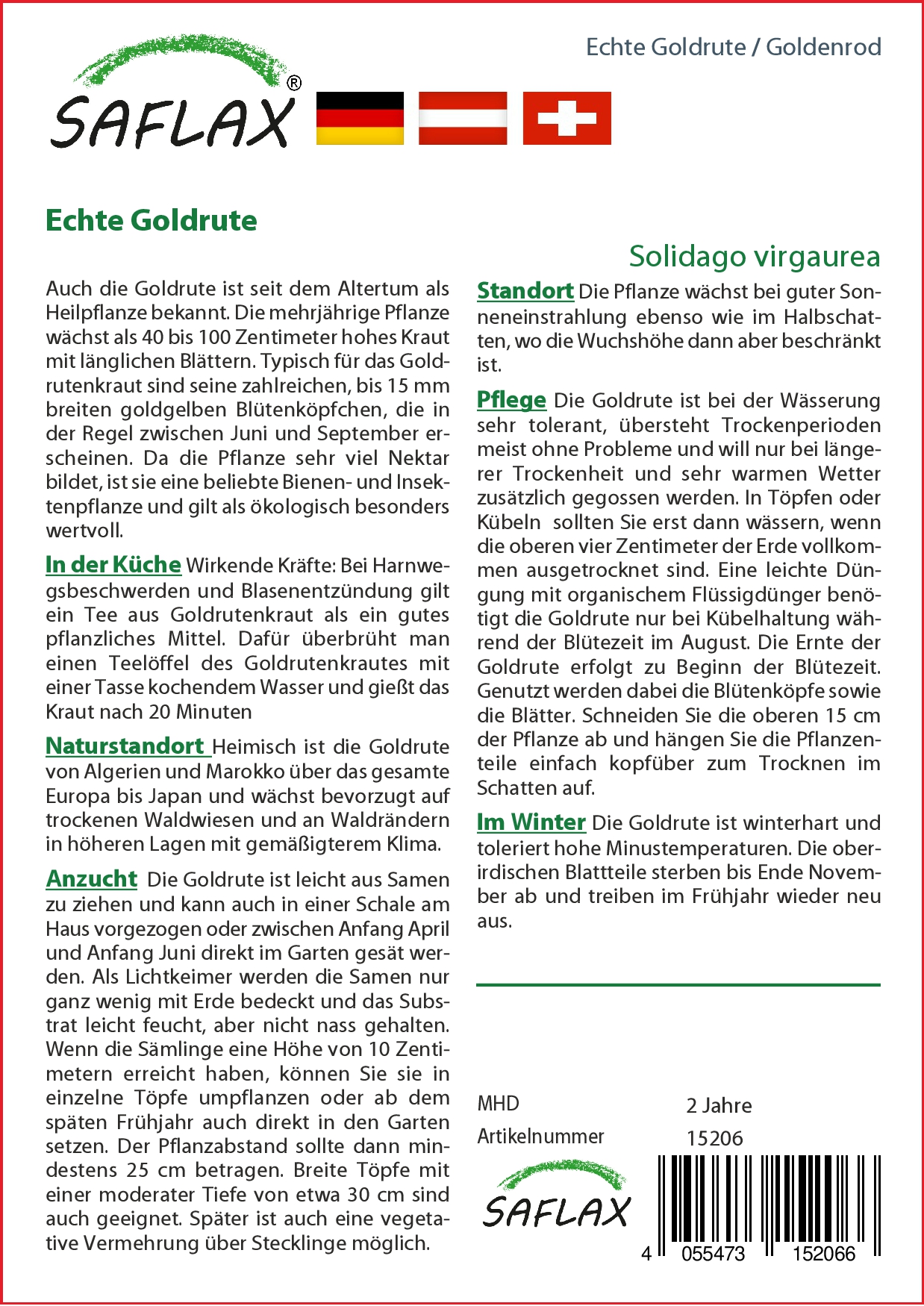 Echte Goldrute - Samen