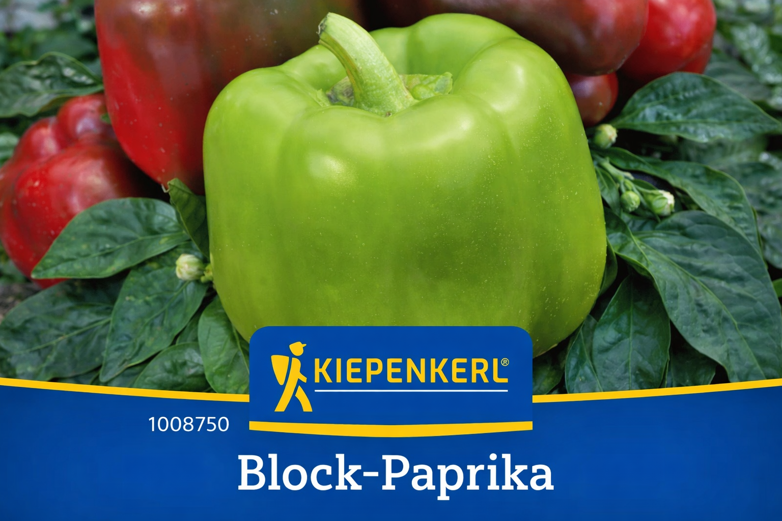 Paprika Neusiedler Ideal