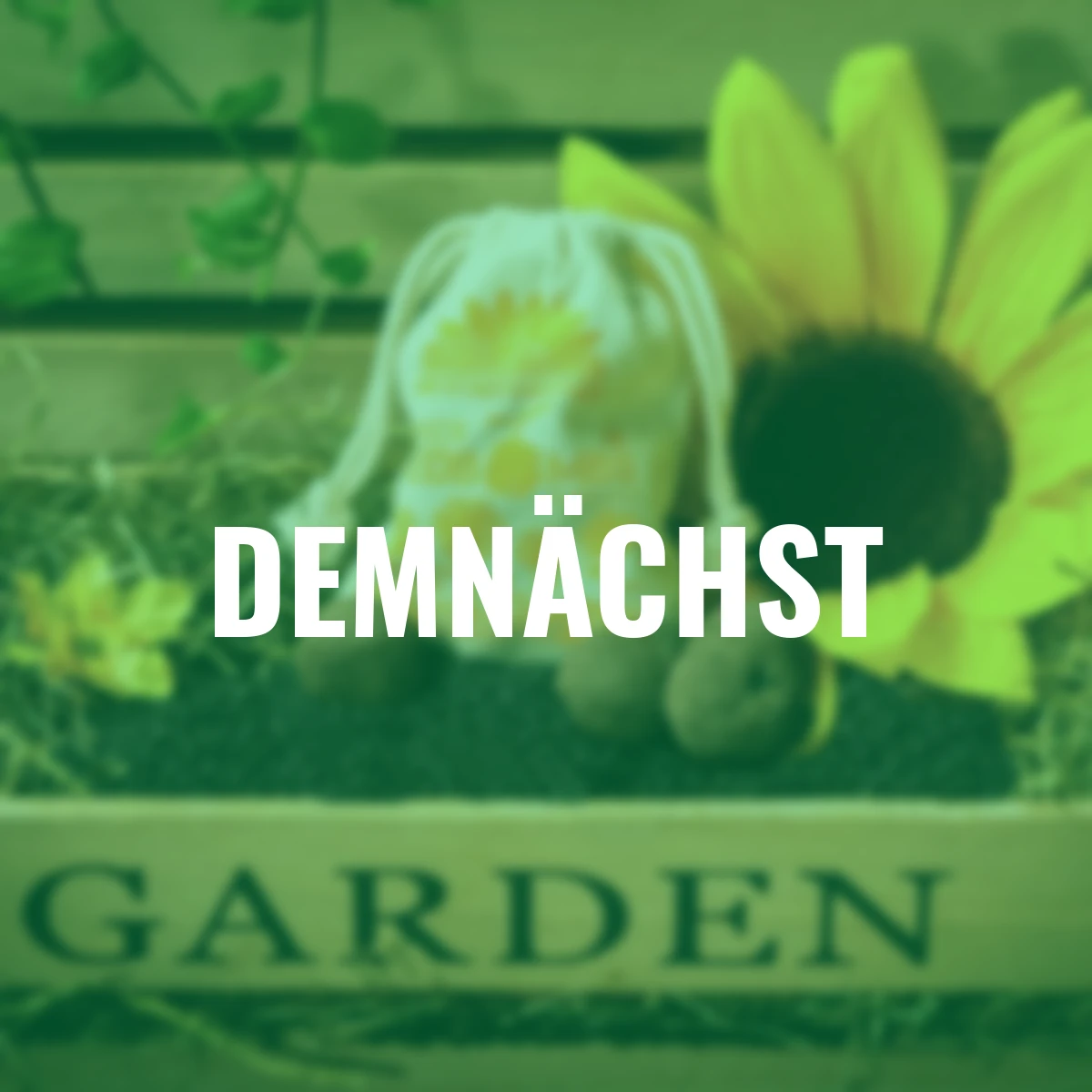 Blumen-Seedbombs Sonnenblumen