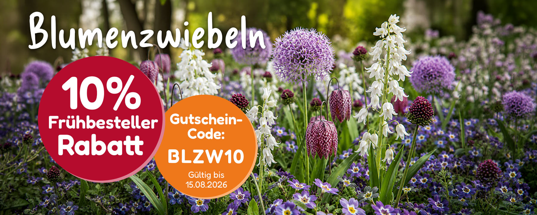 Sommerblumen