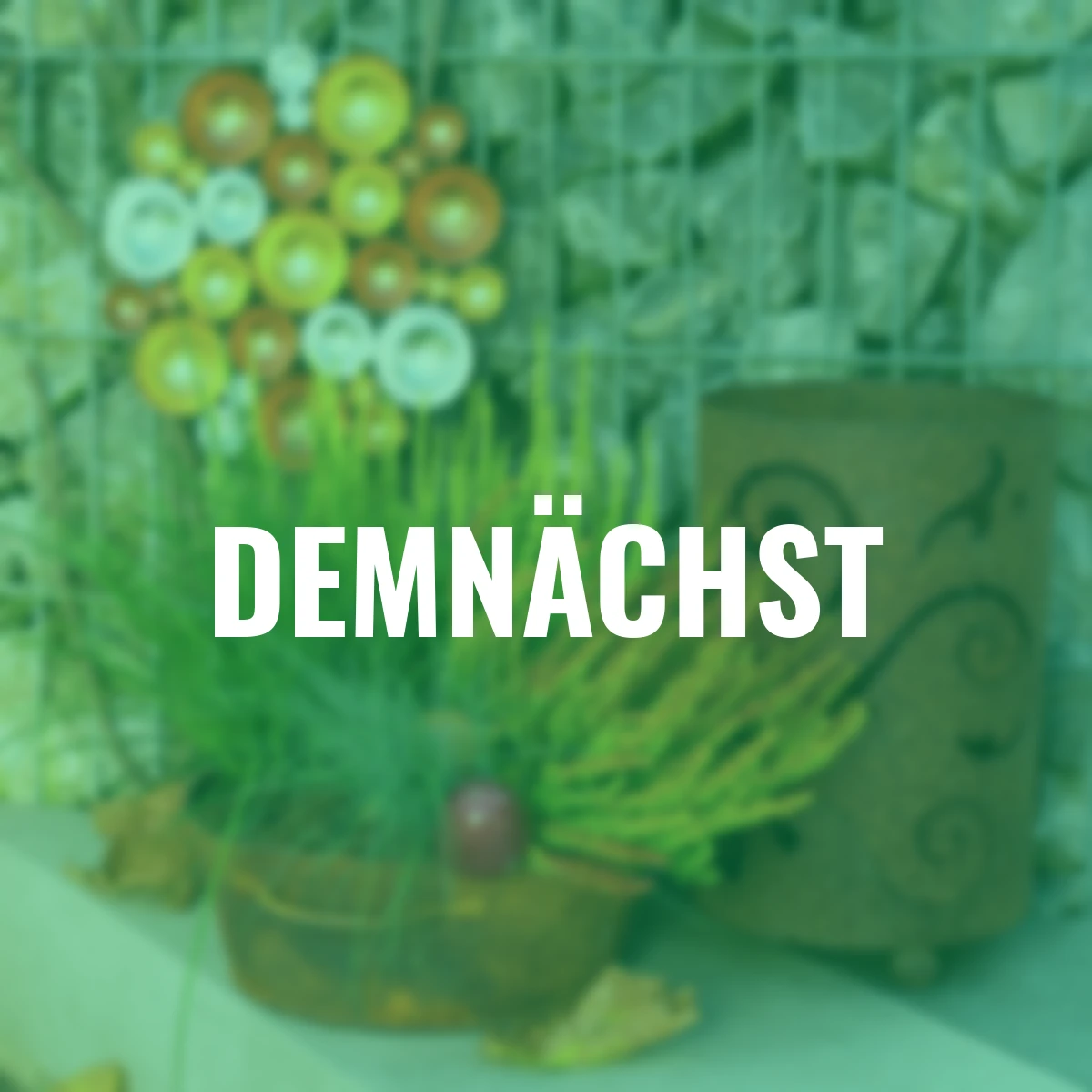 Knospenheide Gardengirls® Zoe, orange-rot