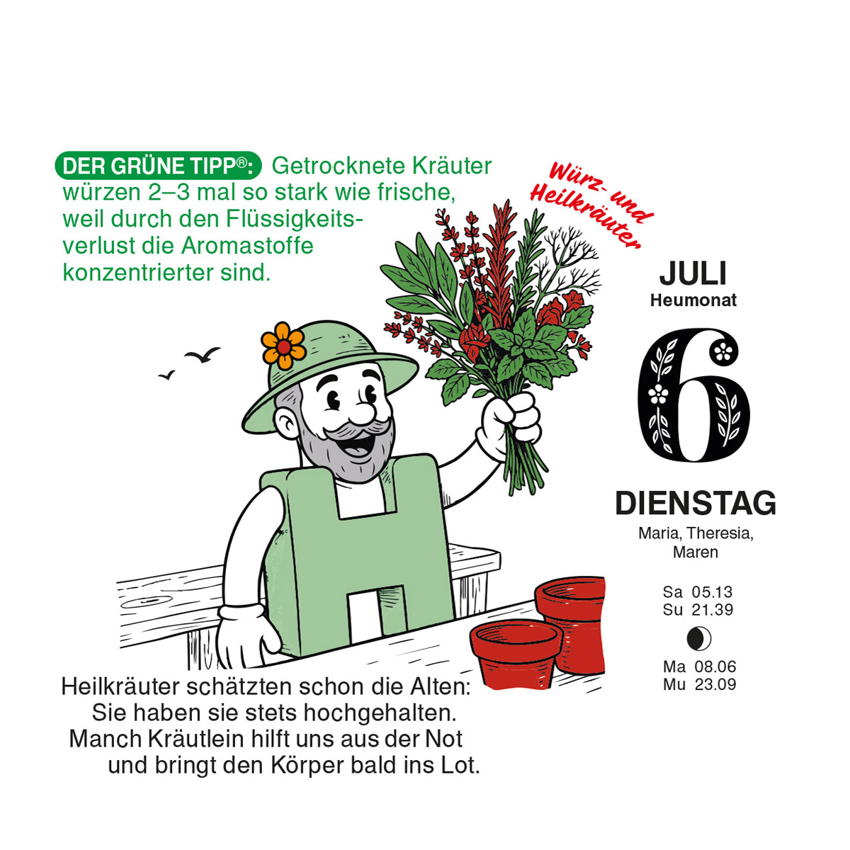 Abreißkalender Der große Grüne Wink® 2027