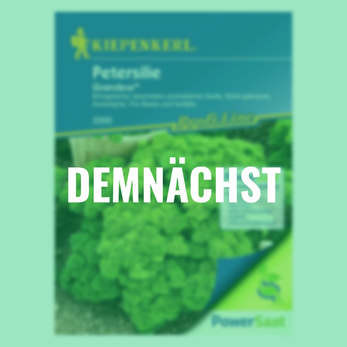 Petersilie Darki Grandeur PowerSaat