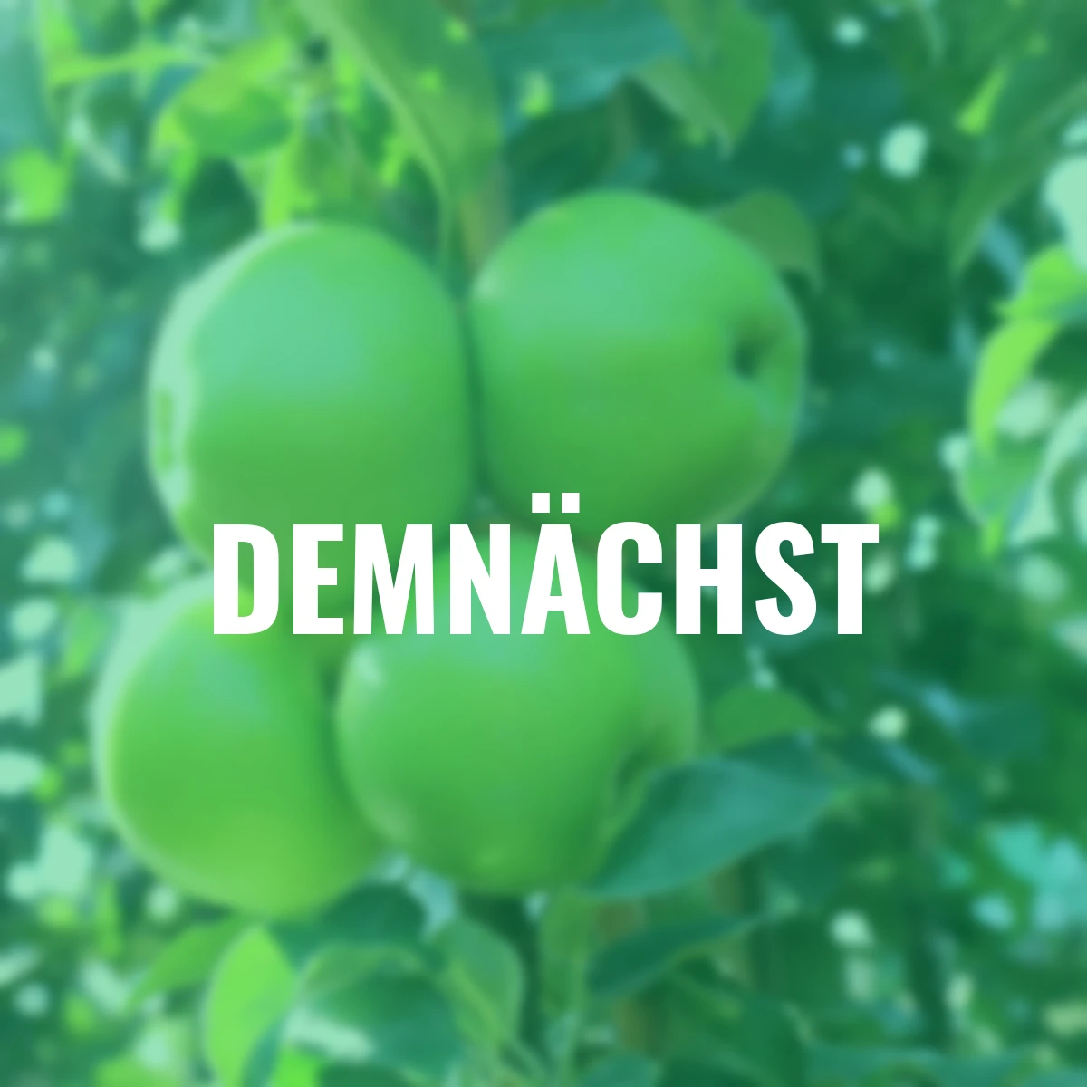 Säulen-Apfel Greencats®