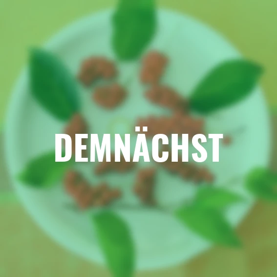 Vitalbeere® Wu-Wei-Zi