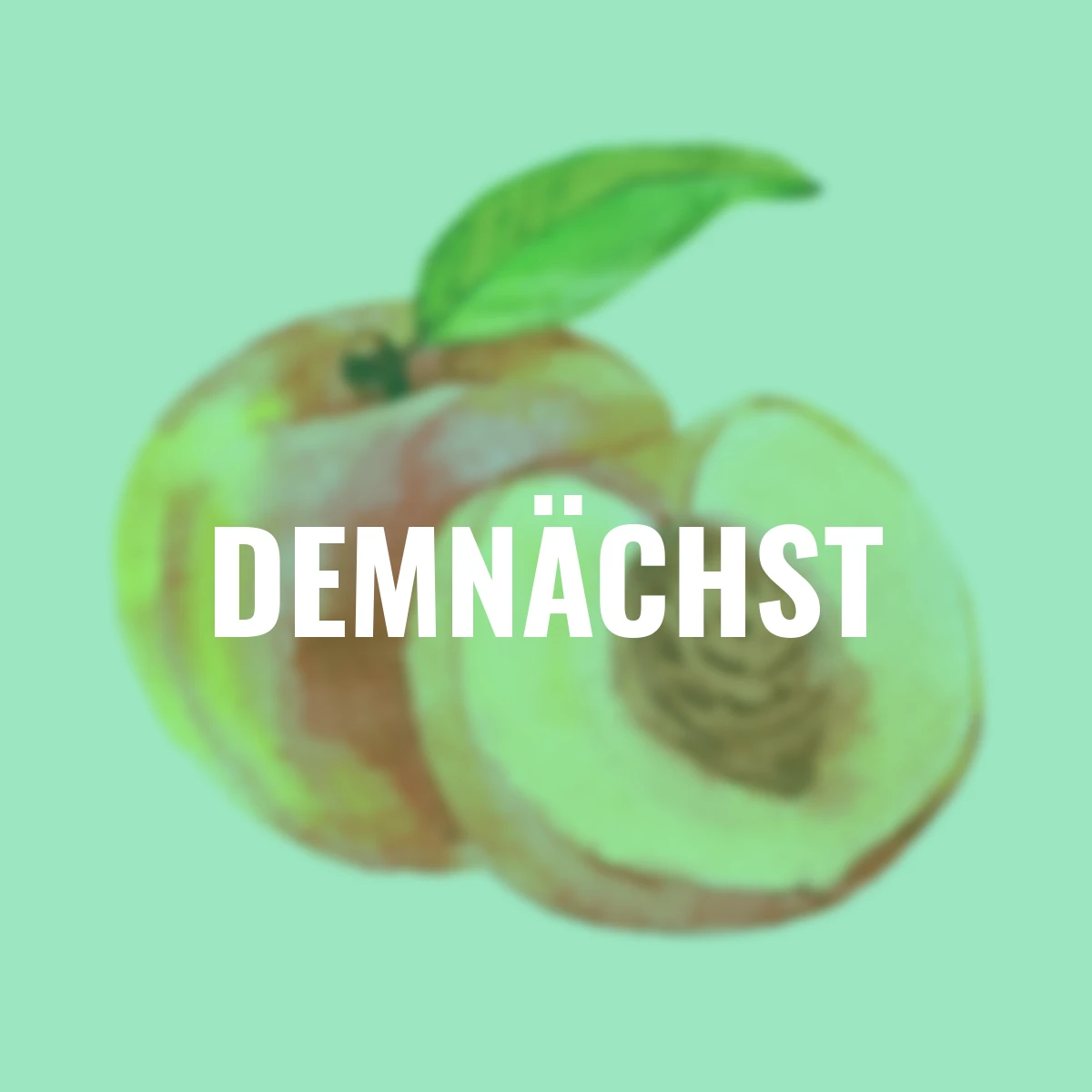 Pfirsich Kernechter vom Vorgebirge