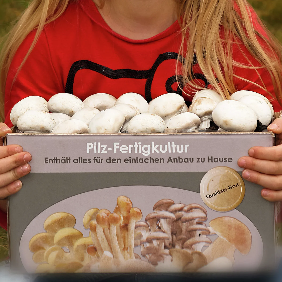 Pilzkultur-Set Weißer Champignon