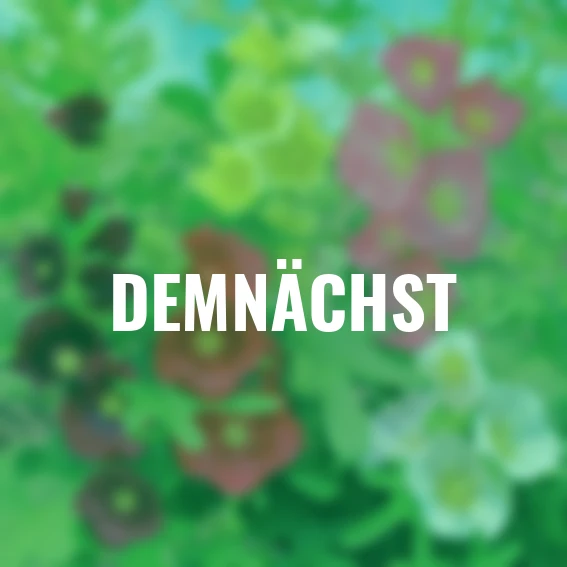 Bunte Stockrosen Las Vegas