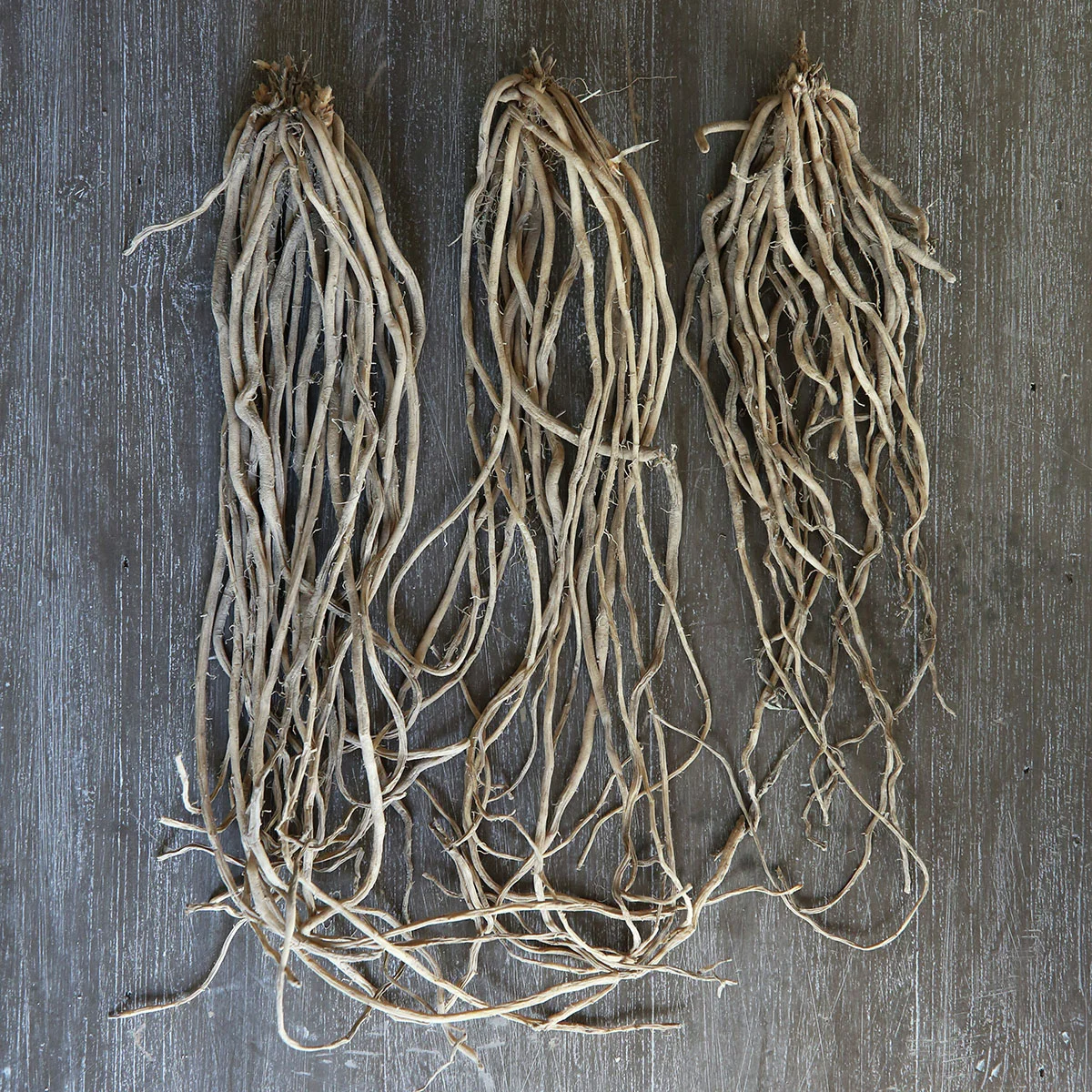 Bleichspargel Gijnlim