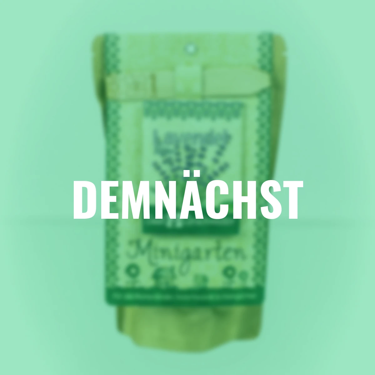 Minigarten - Echter Lavendel - BIO