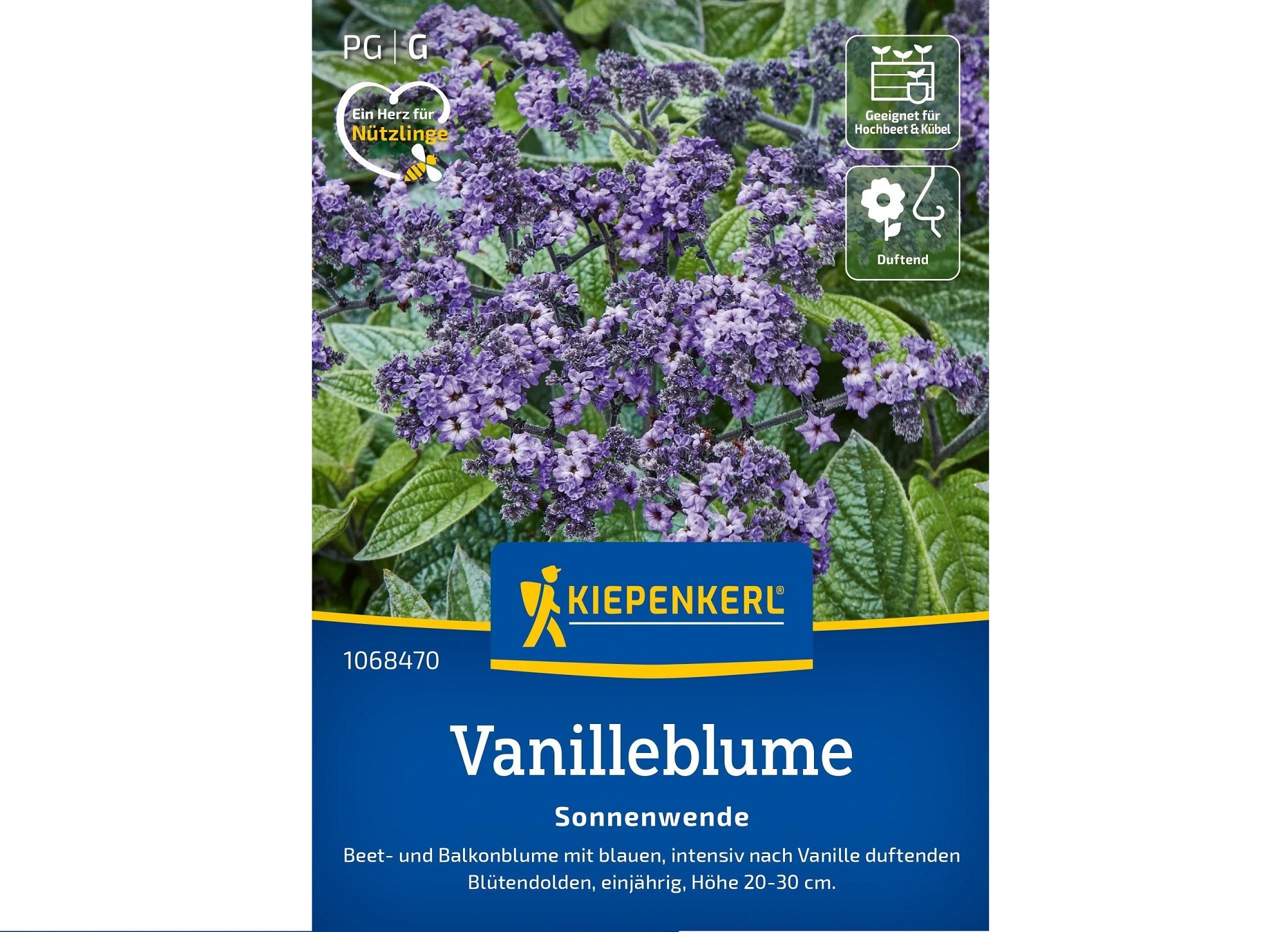Vanilleblume Vanillezauber