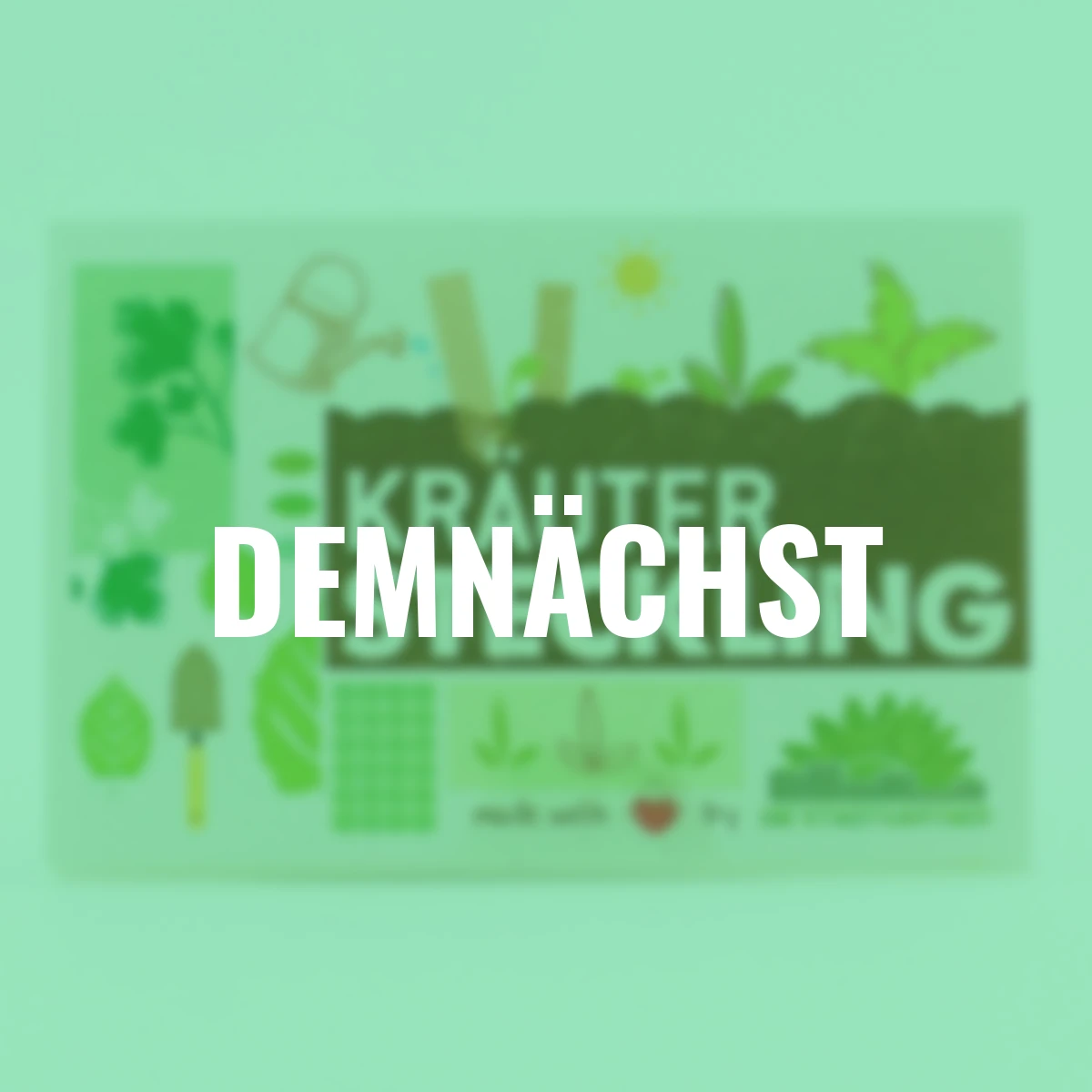 Steckling Kräutersamen, 10 Stück