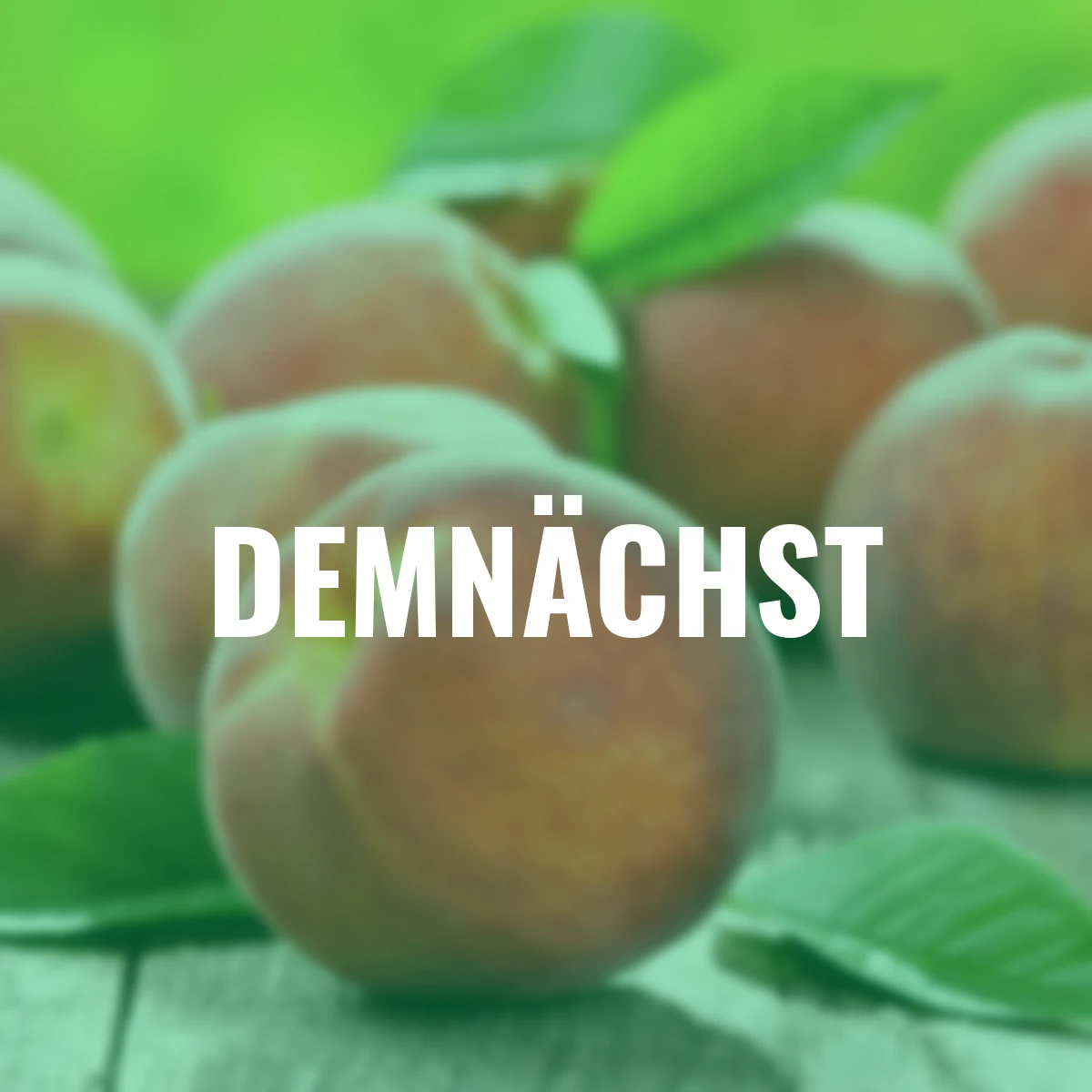 Pfirsich Peach me Red