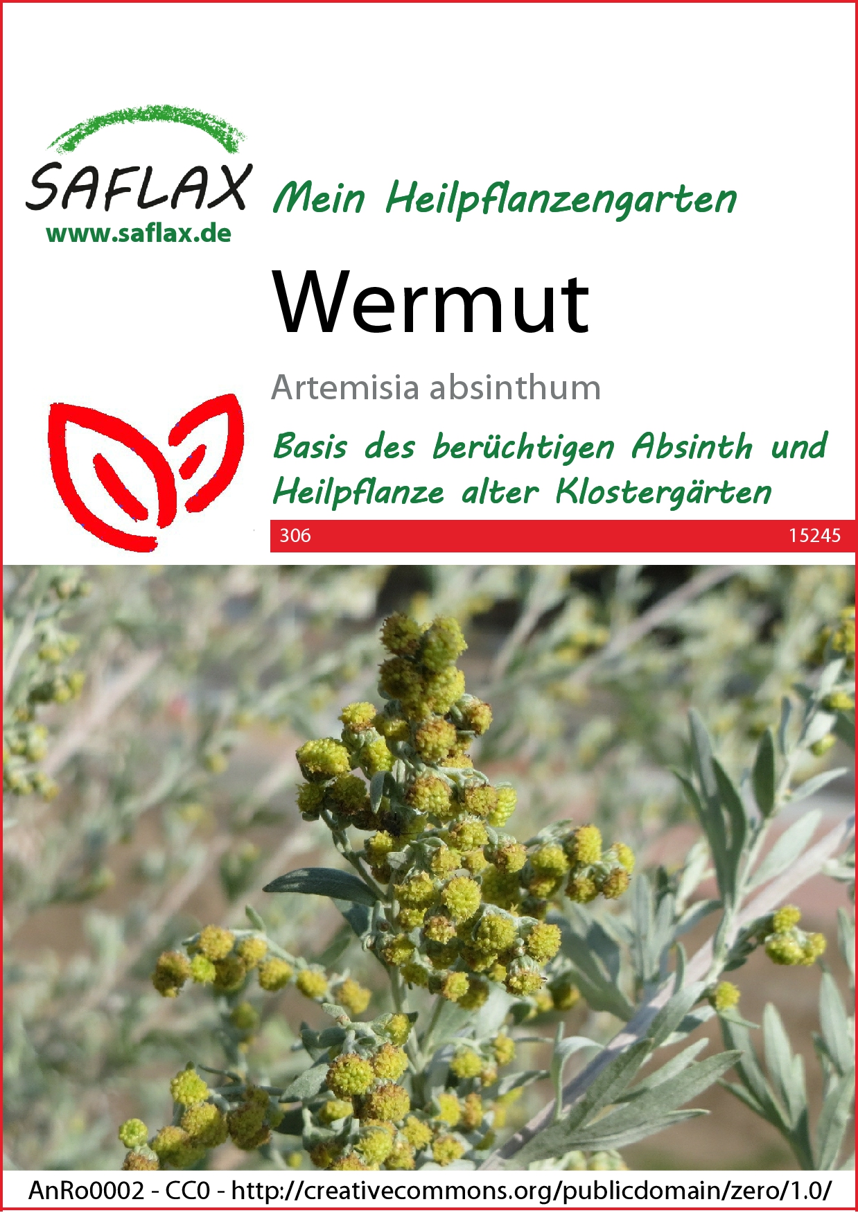 Wermut - Samen