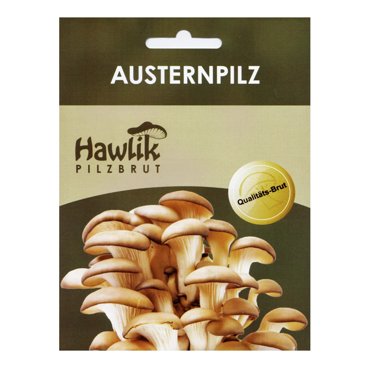 Dübel-Pilzkultur-Set Austernpilze