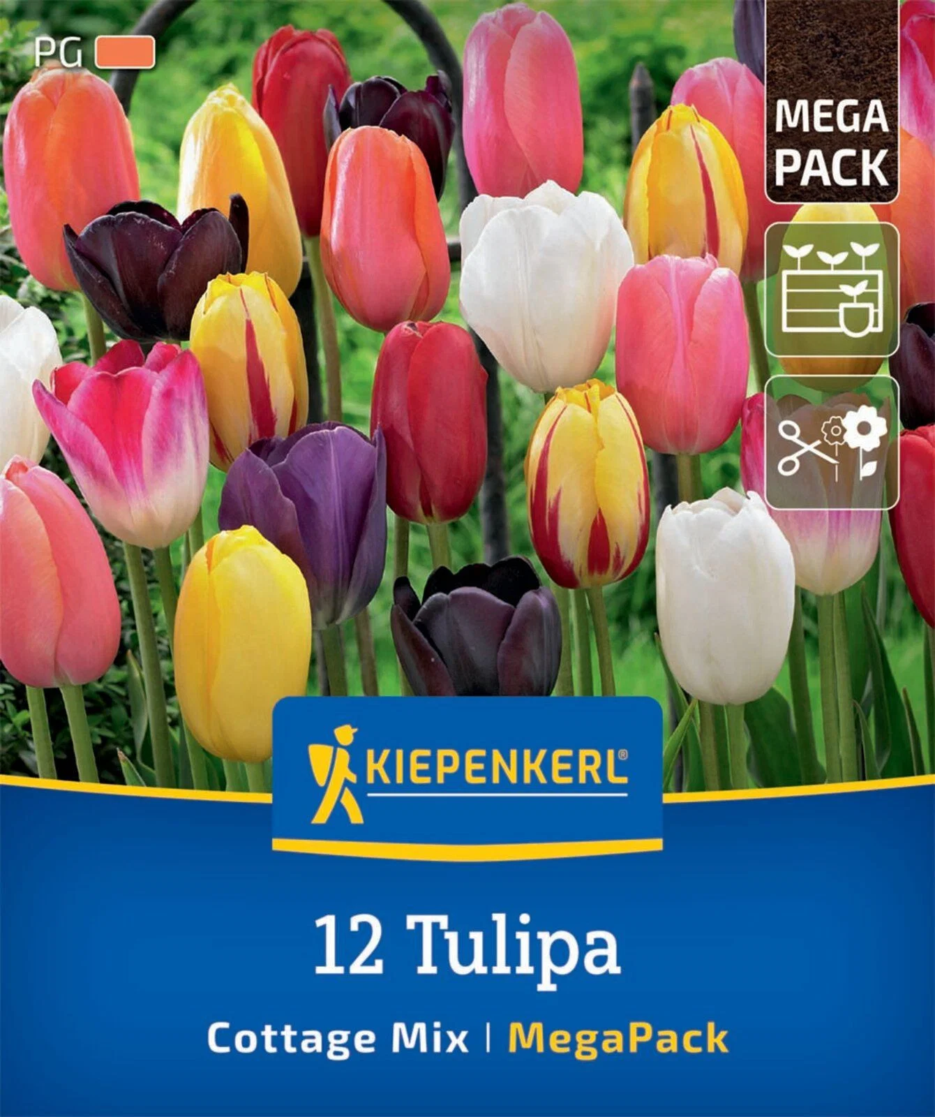 Cottage Tulpen Mix