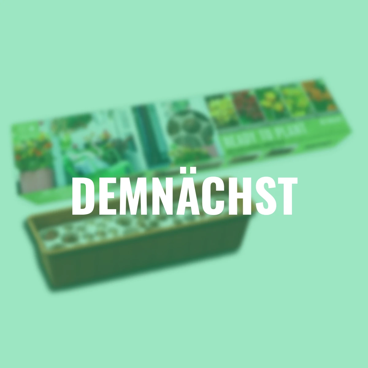 Balkon-O-Mat Tray Sunshine Mischung