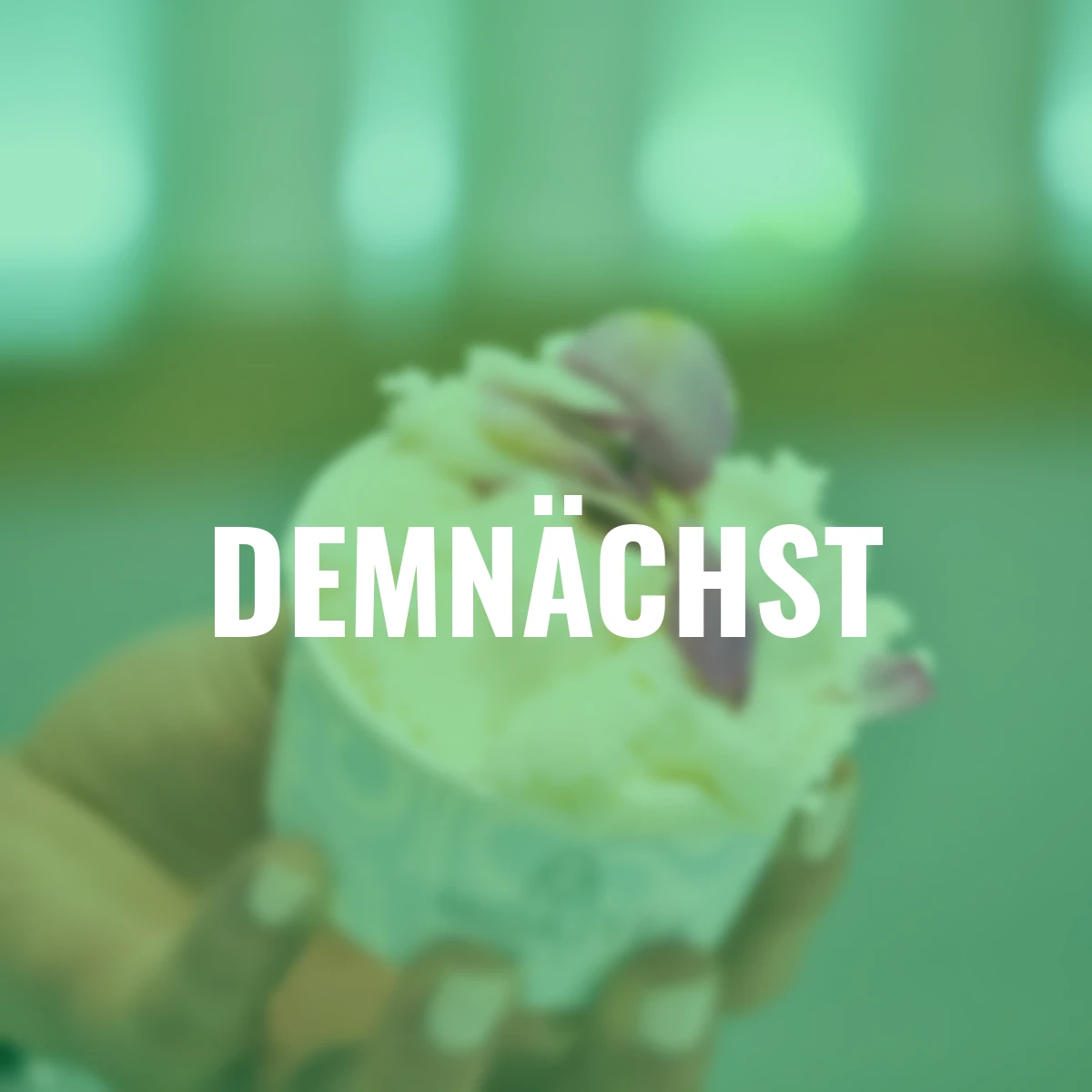 Essbare Culinaric Rose, gold-gelb